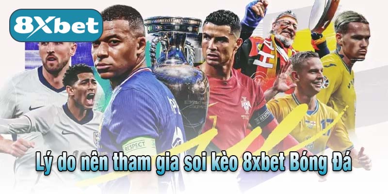 Lý do nên tham gia soi kèo 8xbet Bóng Đá