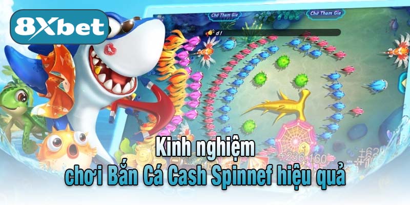 Kinh nghiệm chơi Bắn Cá Cash Spinnef hiệu quả