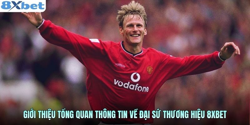 Giới thiệu tổng quan thông tin về đại sứ thương hiệu 8xbet