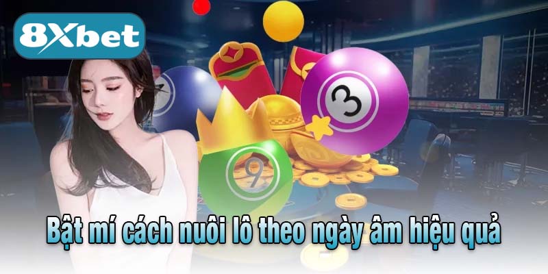 Bật mí cách nuôi lô theo ngày âm hiệu quả